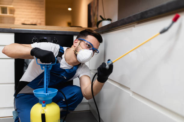 Best Flea Control Services  in Glen Ridge, NJ