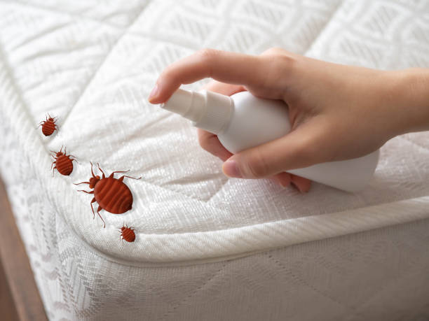 Trusted Glen Ridge, NJ Pest Control Experts