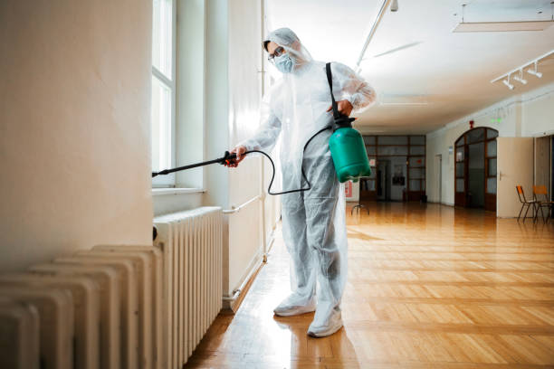 Best Flea Control Services  in Glen Ridge, NJ