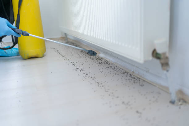 Best Wildlife Control Services  in Glen Ridge, NJ