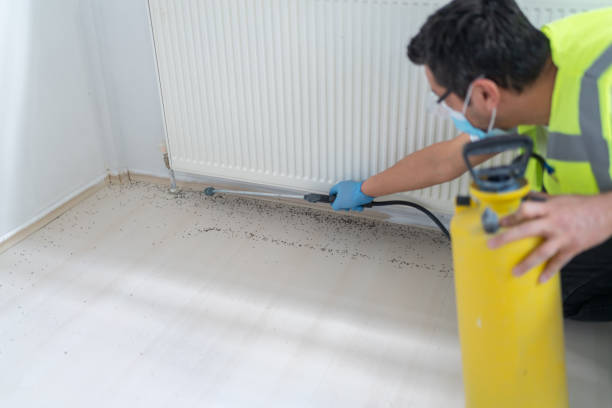 Best Pest Removal Services  in Glen Ridge, NJ